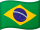 Português flag