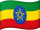 አማርኛ flag