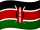 Kiswahili flag