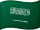 العربية flag